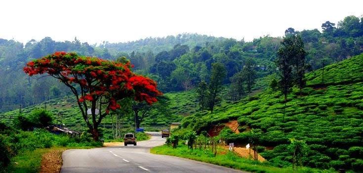 വന്യജീവി ആക്രമണം : തോട്ടംമേഖലയില് രാത്രിയാത്രാ നിരോധനം ഏര്പ്പെടുത്തി ഇടുക്കി ജില്ലാകളക്ടര് വിവാദത്തില്