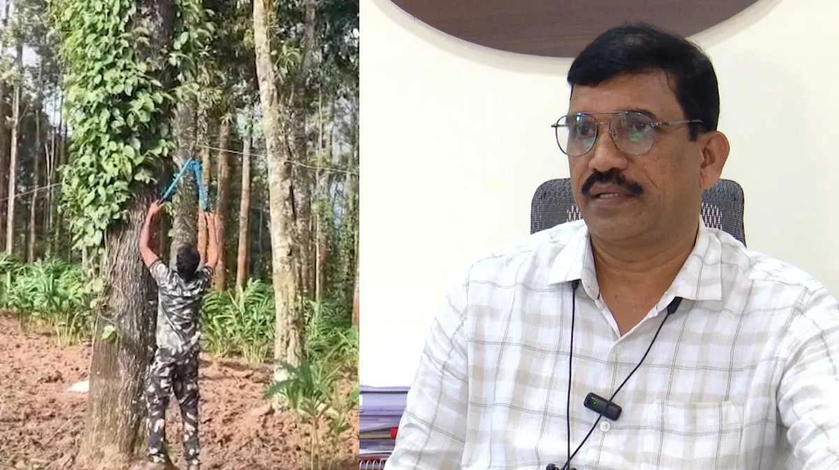 ഇടുക്കിയിൽ രാത്രി യാത്ര നിരോധനം പ്രഖ്യാപിച്ചിട്ടില്ല: വിശദീകരണവുമായി ജില്ലാ കളക്ടർ