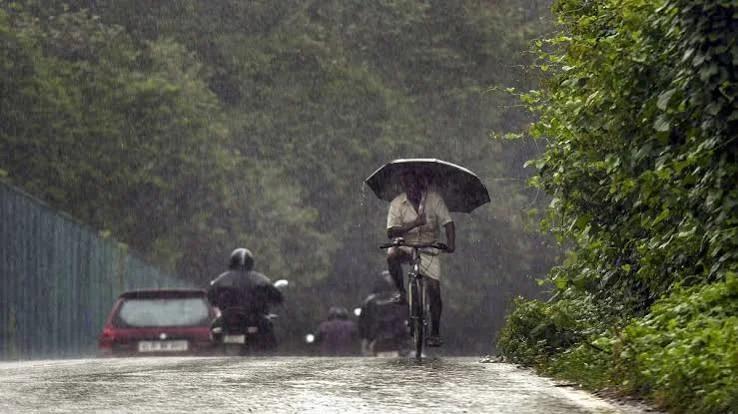 സംസ്ഥാനത്ത് ശനിയാഴ്ച വരെ ശക്തമായ മഴ തുടരും; ഇന്ന് അഞ്ച് ജില്ലകളില് യെല്ലോ അലര്ട്ട്