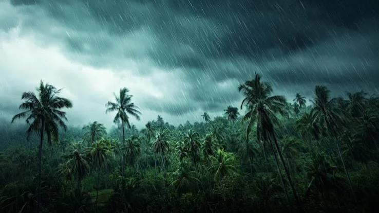 സംസ്ഥാനത്ത് പരക്കെ മഴ; 10 ജില്ലകളിൽ ഓറഞ്ച് അലർട്ട്, ഇടിമിന്നലോട് കൂടിയ ശക്തമായ മഴയ്ക്ക് സാധ്യത