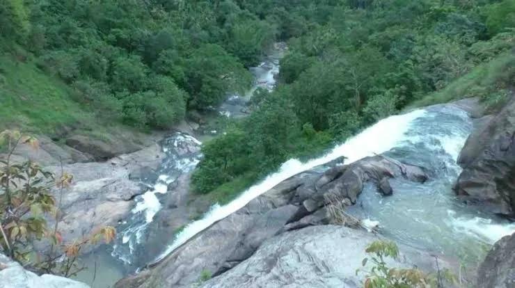 തൂവല് ആസ്വദിക്കാം; അടുത്താല് അപകടം ഉറപ്പ്