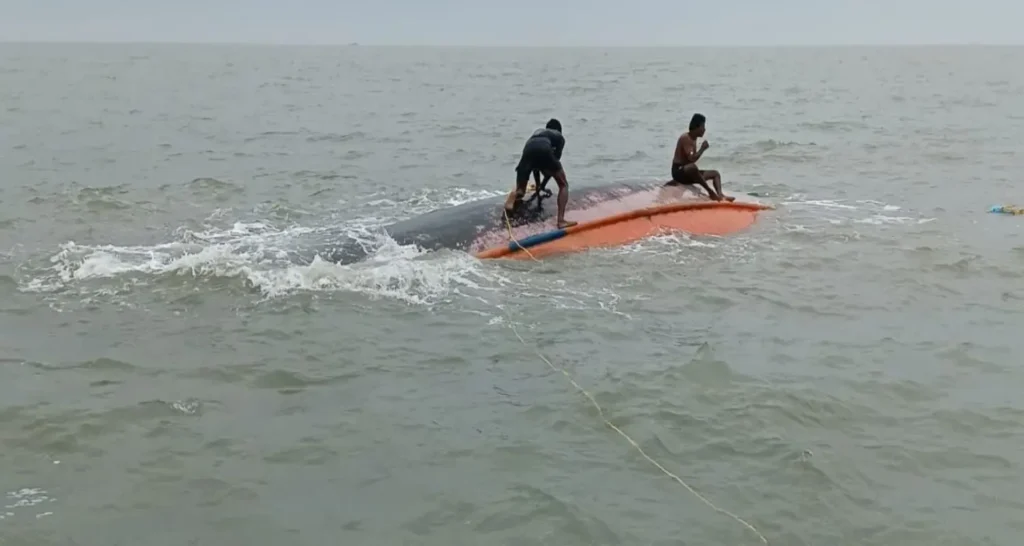 bay-of-bengalnaijpg_1783932795871