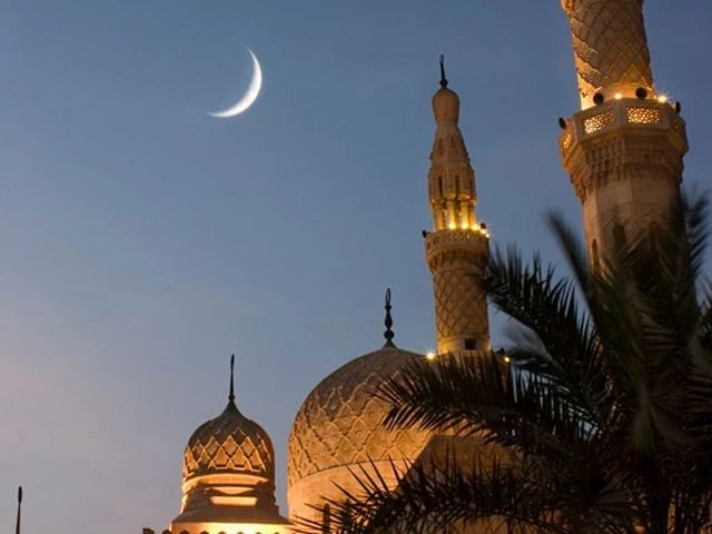 nabidinam (1)